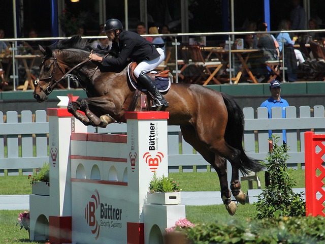 个人能力的 个人能力的