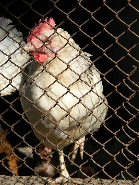 关键所在 关键所在