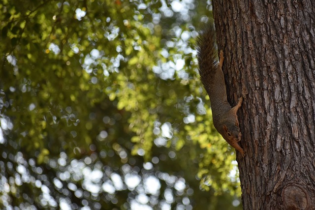 实力的绝佳 实力的绝佳