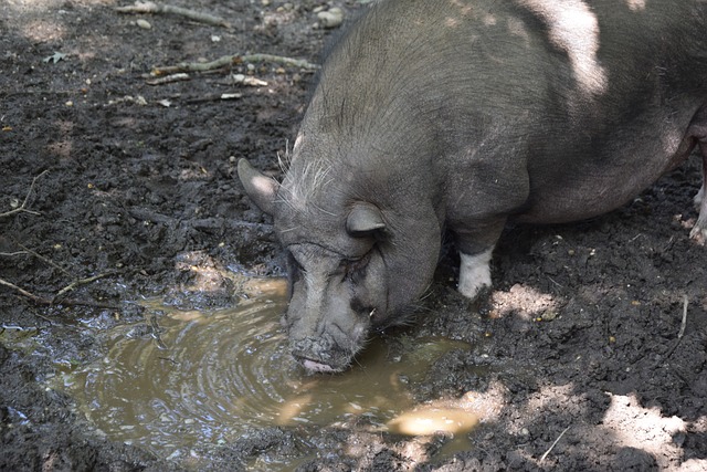 还有效激活 还有效激活