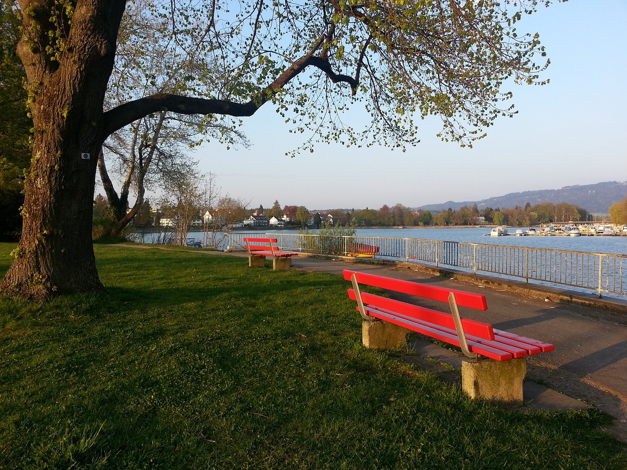 这正是顶级 这正是顶级